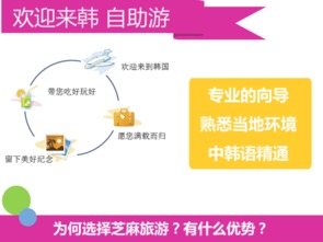 專業(yè)韓語翻譯服務(wù) 覆蓋首爾與釜山，商務(wù)與普通場景高效對(duì)接